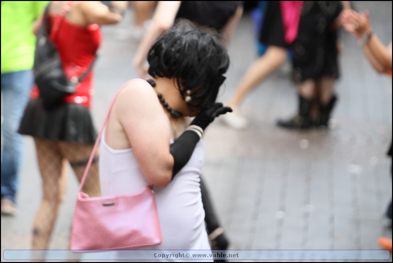 Vahle-CSD-2012-0171.jpg