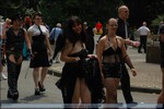 blacky-csd-2010-0100.jpg